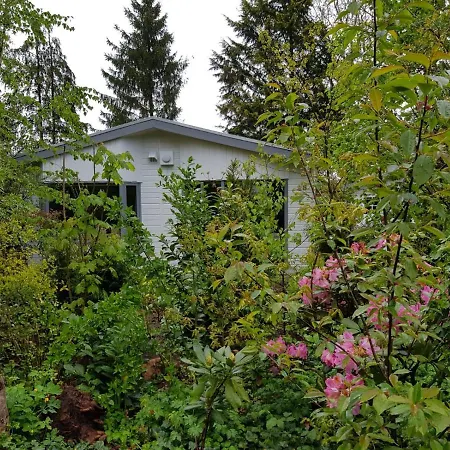De Blauwe Reiger mooi dubbel chalet in de Veluwse bossen Putten Buitenkant foto