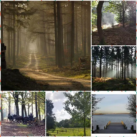 De Blauwe Reiger mooi dubbel chalet in de Veluwse bossen Putten Buitenkant foto