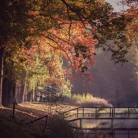 De Blauwe Reiger mooi dubbel chalet in de Veluwse bossen Putten Buitenkant foto